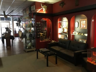 Twisted Skull Studios