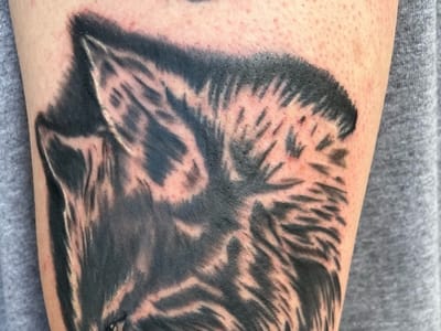 Two Wolves Tattoo Shop