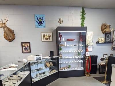 Tyler TX Premier Piercing and Tattoo