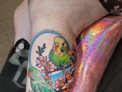 Urban Inkology Tattoo Studio