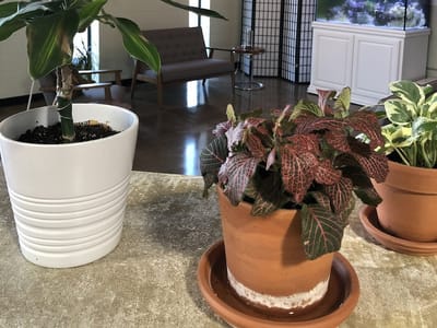 Valkyrie Tattoo Gallery