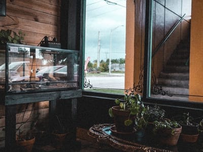 Vantablack Tattoo Gallery