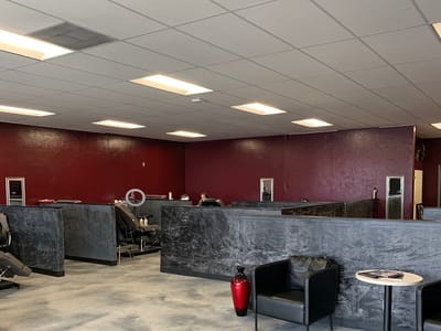 Varnished Anatomy Tattoo