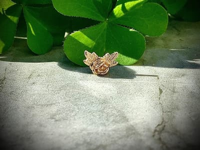 Velvet Orange Bodycraft