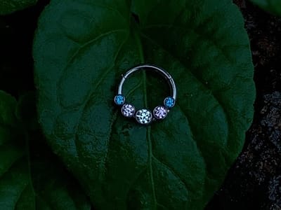 Velvet Orange Bodycraft