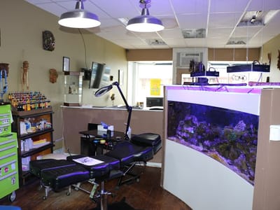 Wasted Space Tattoo Shop and Piercing