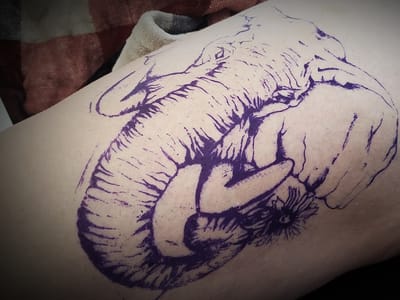 Whisky Rose Tattoo Parlor