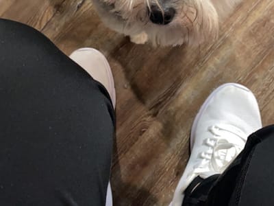 White Rabbit Tattoo Parlour