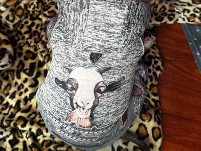 Whiteaker Tattoo Collective