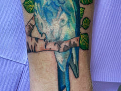 Wind River Tattoo Studio