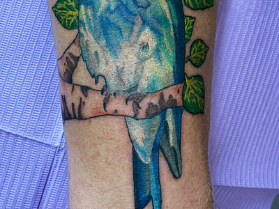 Wind River Tattoo Studio