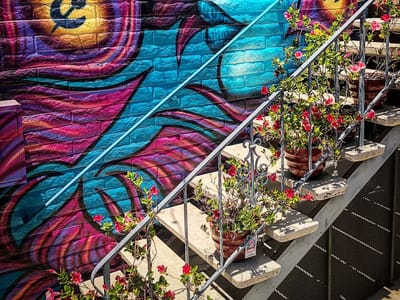 Wolf and Shadow Tattoo Collective (fka Diego Tattoo Gallery)