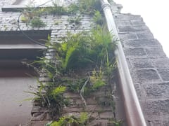 Wonderland Tattoo & piercing