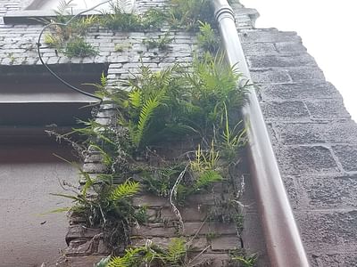 Wonderland Tattoo & piercing