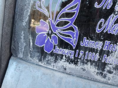 Youth Gone Wild Tattoo Co.