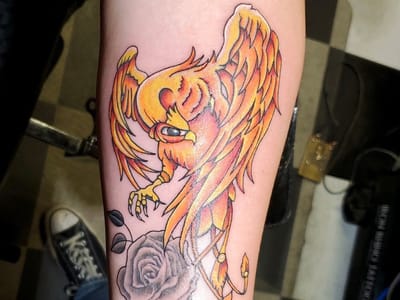 Youth Gone Wild Tattoo Co.